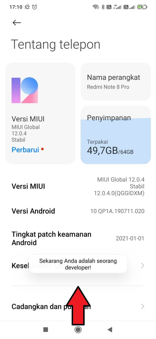 opsi developer