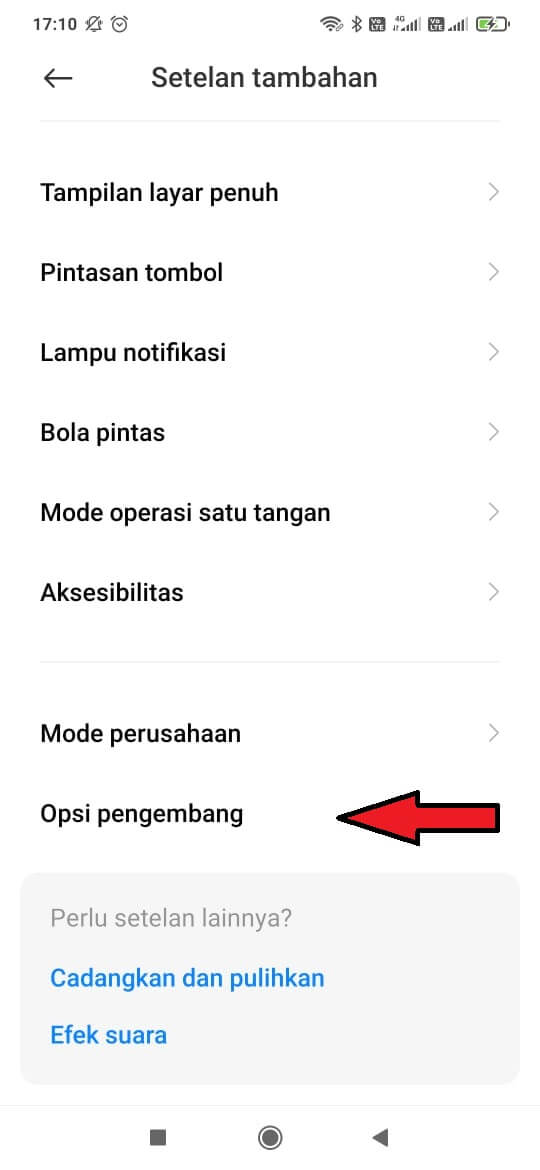 setelan developer