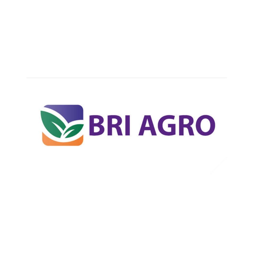 PT Bank Rakyat Indonesia Agroniaga, Tbk